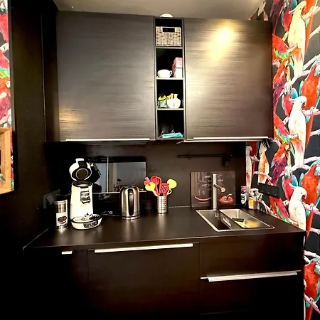 Daire Dompanorama Papageno 1-zimmer Fuer 2 Gaeste