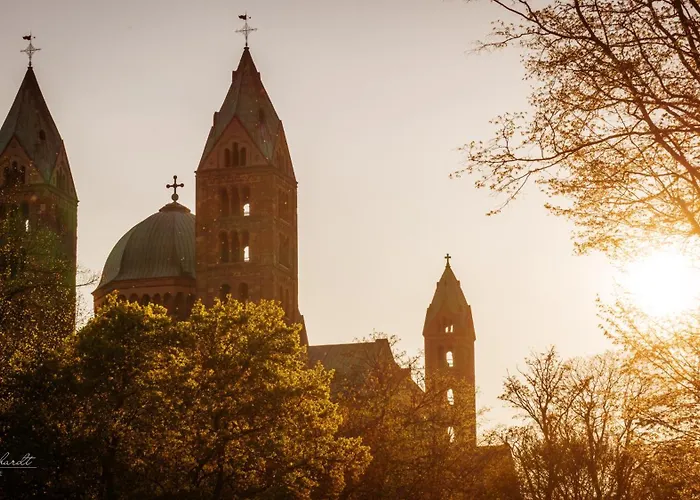 Dompanorama Papageno 1-zimmer Fuer 2 Gaeste